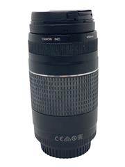 CANON EF 75-300MM 1:4-5.6 III